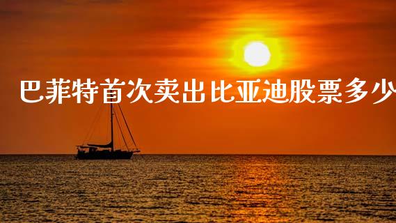巴菲特首次卖出比亚迪股票多少_https://www.lansai.wang_股票知识_第1张