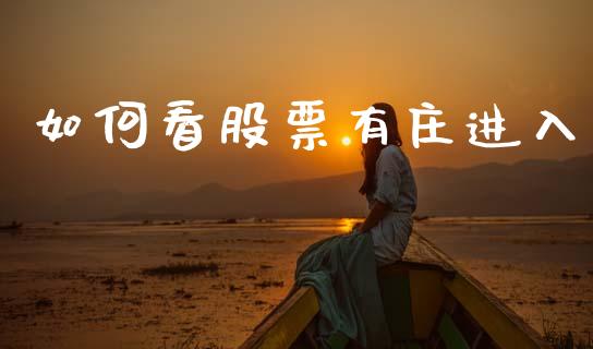 如何看股票有庄进入_https://www.lansai.wang_期货资讯_第1张