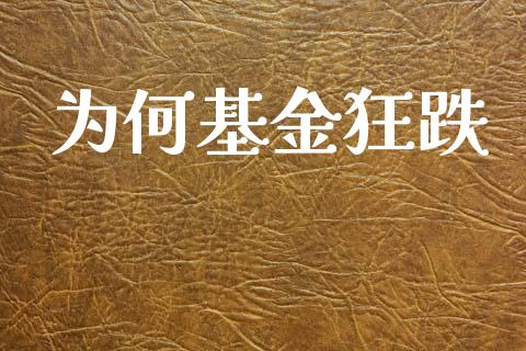 为何基金狂跌_https://www.lansai.wang_基金理财_第1张