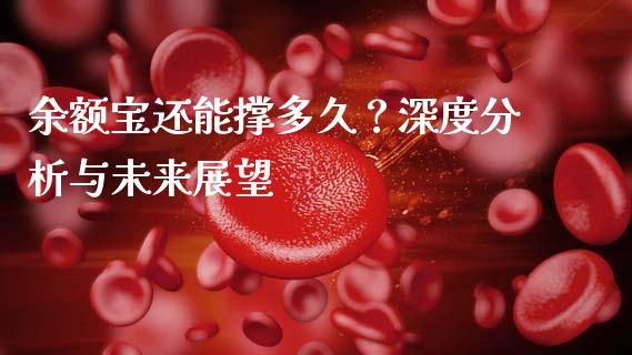 余额宝还能撑多久？深度分析与未来展望_https://www.lansai.wang_期货学院_第1张