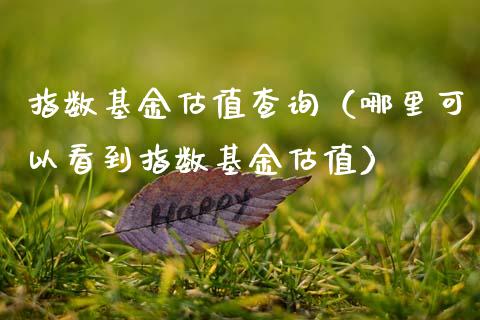 指数基金估值查询（哪里可以看到指数基金估值）_https://www.lansai.wang_基金理财_第1张