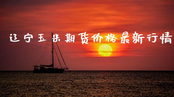 辽宁玉米期货价格最新行情_https://www.lansai.wang_未分类_第1张
