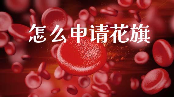 怎么申请花旗_https://www.lansai.wang_理财百科_第1张