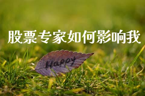 股票专家如何影响我_https://www.lansai.wang_股票问答_第1张