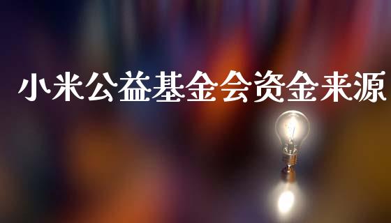 小米公益基金会资金来源_https://www.lansai.wang_基金理财_第1张