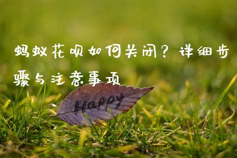 蚂蚁花呗如何关闭？详细步骤与注意事项_https://www.lansai.wang_期货直播_第1张