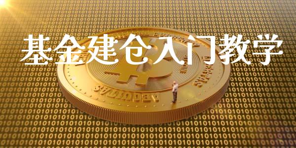 基金建仓入门教学_https://www.lansai.wang_未分类_第1张