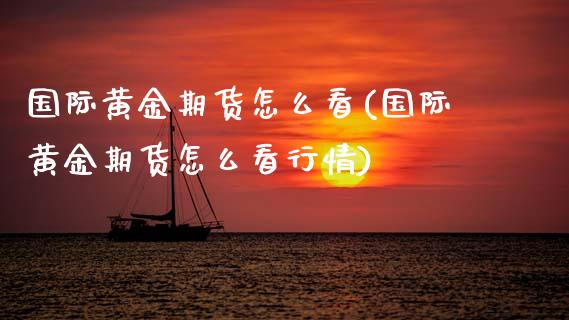 国际黄金期货怎么看(国际黄金期货怎么看行情)_https://www.lansai.wang_期货行情_第1张
