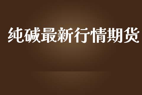 纯碱最新行情期货_https://www.lansai.wang_期货行情_第1张