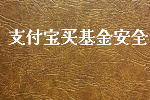 支付宝买基金安全_https://www.lansai.wang_基金理财_第1张