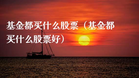 基金都买什么股票（基金都买什么股票好）_https://www.lansai.wang_基金理财_第1张