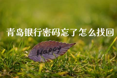 青岛银行密码忘了怎么找回_https://www.lansai.wang_期货直播_第1张