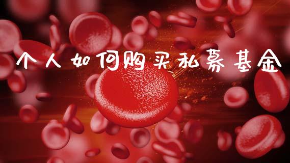 个人如何购买私募基金_https://www.lansai.wang_基金理财_第1张