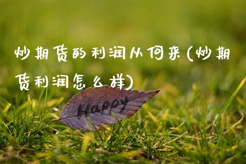 炒期货的利润从何来(炒期货利润怎么样)_https://www.lansai.wang_期货行情_第1张