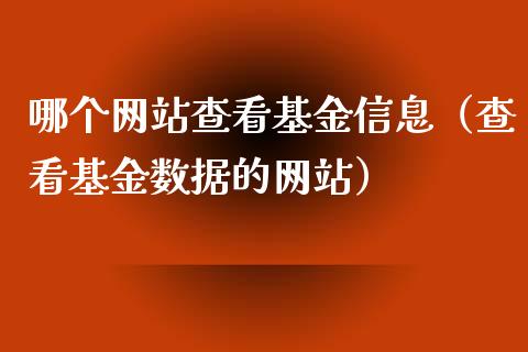 哪个网站查看基金信息（查看基金数据的网站）_https://www.lansai.wang_基金理财_第1张