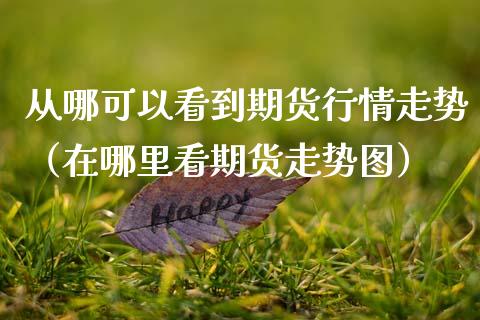 从哪可以看到期货行情走势（在哪里看期货走势图）_https://www.lansai.wang_期货行情_第1张