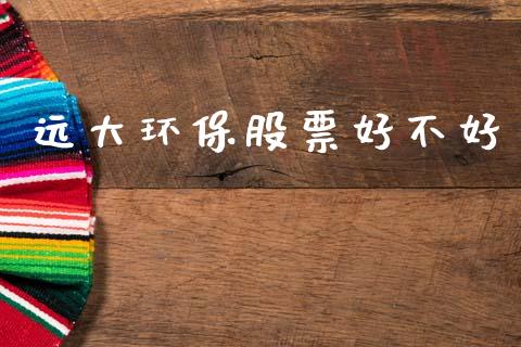 远大环保股票好不好_https://www.lansai.wang_股票问答_第1张