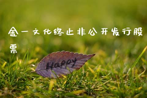 金一文化终止非公开发行股票_https://www.lansai.wang_期货资讯_第1张