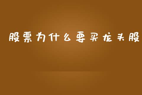 股票为什么要买龙头股_https://www.lansai.wang_恒生指数_第1张