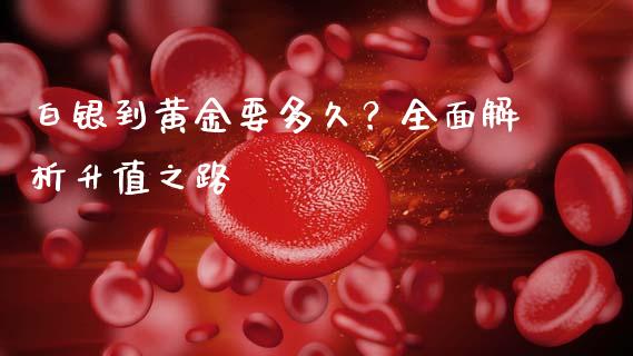 白银到黄金要多久？全面解析升值之路_https://www.lansai.wang_期货资讯_第1张