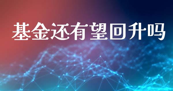 基金还有望回升吗_https://www.lansai.wang_未分类_第1张