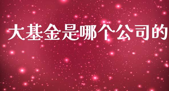 大基金是哪个公司的_https://www.lansai.wang_基金理财_第1张