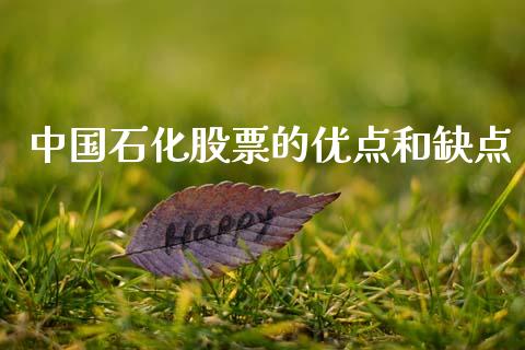 中国石化股票的优点和缺点_https://www.lansai.wang_基金理财_第1张