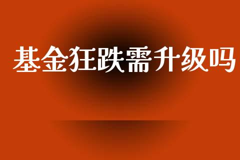 基金狂跌需升级吗_https://www.lansai.wang_基金理财_第1张