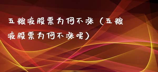 五粮液股票为何不涨（五粮液股票为何不涨呢）_https://www.lansai.wang_股票问答_第1张
