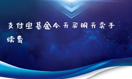 支付宝基金今天买明天卖手续费_https://www.lansai.wang_基金理财_第1张