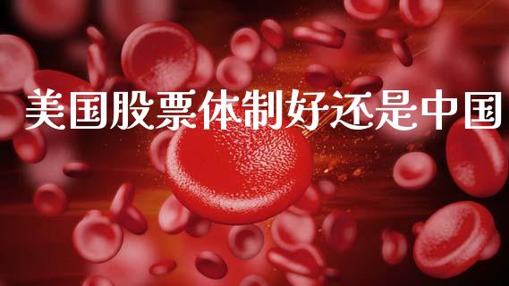 美国股票体制好还是中国_https://www.lansai.wang_期货行情_第1张