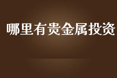 哪里有贵金属投资_https://www.lansai.wang_恒生指数_第1张