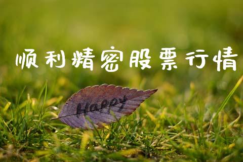 顺利精密股票行情_https://www.lansai.wang_股票知识_第1张