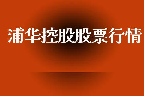 浦华控股股票行情_https://www.lansai.wang_股票知识_第1张