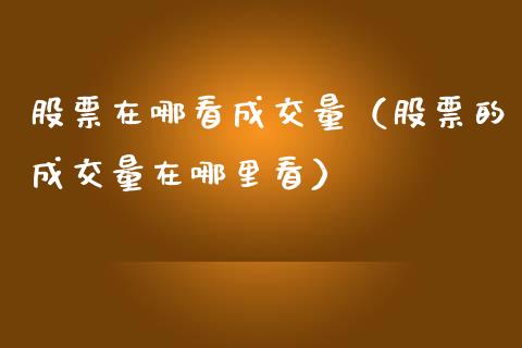 股票在哪看成交量（股票的成交量在哪里看）_https://www.lansai.wang_股票问答_第1张