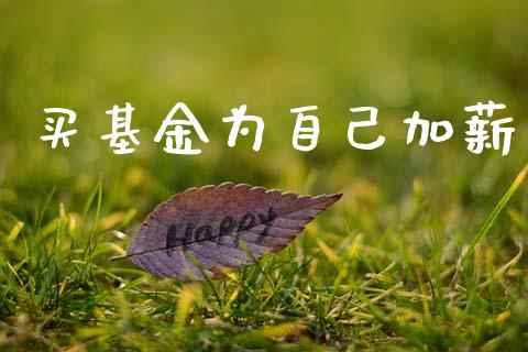 买基金为自己加薪_https://www.lansai.wang_未分类_第1张