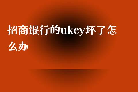 招商银行的ukey坏了怎么办_https://www.lansai.wang_股票知识_第1张