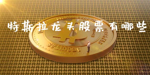 特斯拉龙头股票有哪些_https://www.lansai.wang_股票知识_第1张