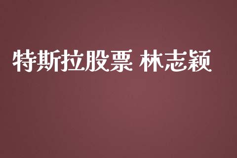 特斯拉股票 林志颖_https://www.lansai.wang_股票问答_第1张