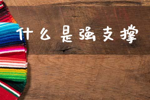什么是强支撑_https://www.lansai.wang_股票问答_第1张