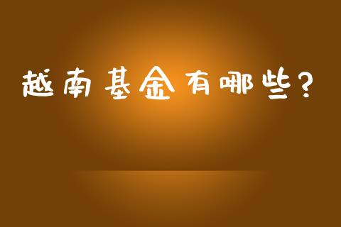 越南基金有哪些?_https://www.lansai.wang_基金理财_第1张