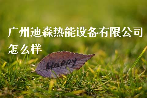 广州迪森热能设备有限公司怎么样_https://www.lansai.wang_基金理财_第1张