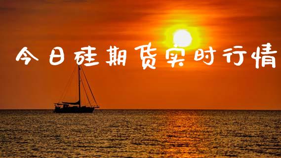今日硅期货实时行情_https://www.lansai.wang_期货资讯_第1张
