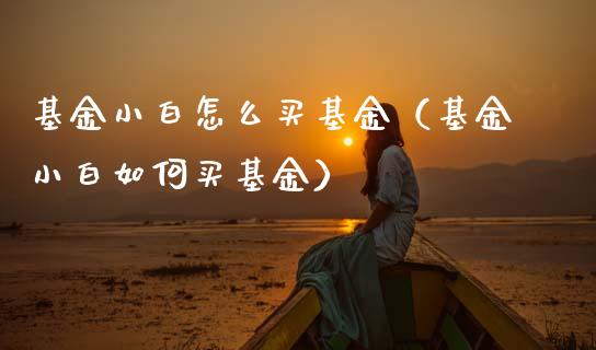 基金小白怎么买基金（基金小白如何买基金）_https://www.lansai.wang_基金理财_第1张