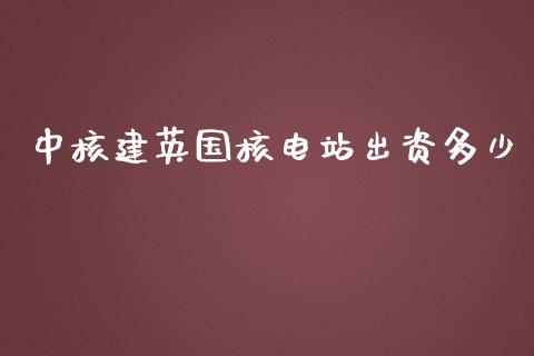 中核建英国核电站出资多少_https://www.lansai.wang_期货行情_第1张