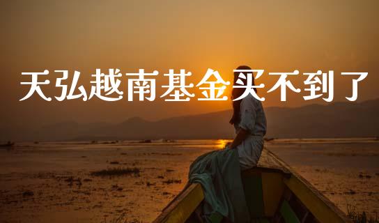 天弘越南基金买不到了_https://www.lansai.wang_基金理财_第1张