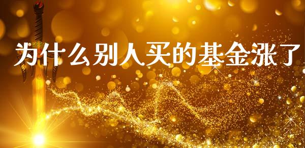 为什么别人买的基金涨了_https://www.lansai.wang_基金理财_第1张