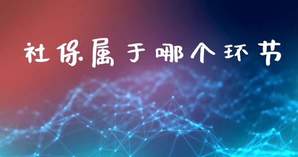 社保属于哪个环节_https://www.lansai.wang_股票问答_第1张