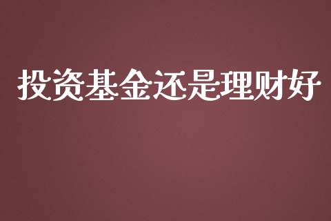 投资基金还是理财好_https://www.lansai.wang_基金理财_第1张