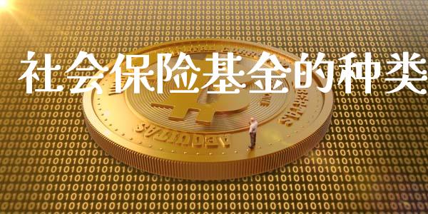社会保险基金的种类_https://www.lansai.wang_基金理财_第1张